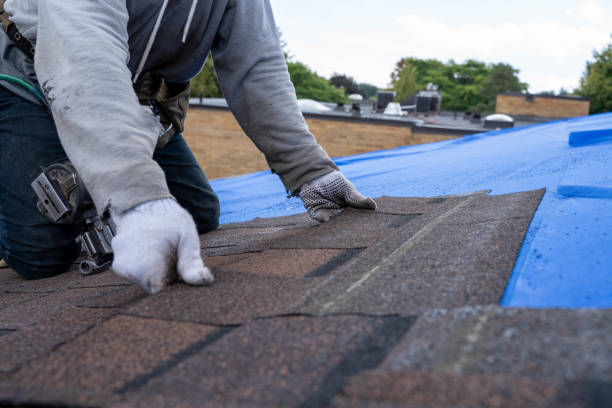 Best Roof Leak Repair  in Grosse Pointe Woods, MI